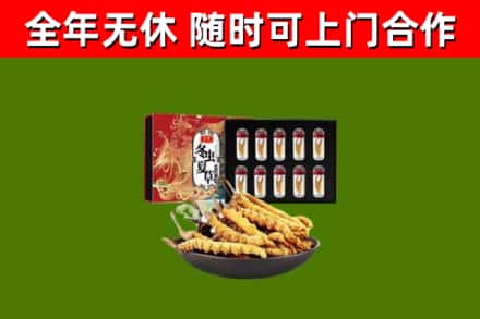 玉州回收冬虫夏草价格