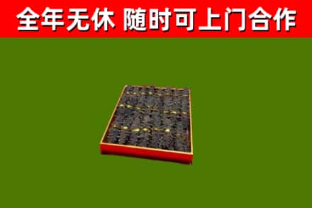 玉州回收海参
